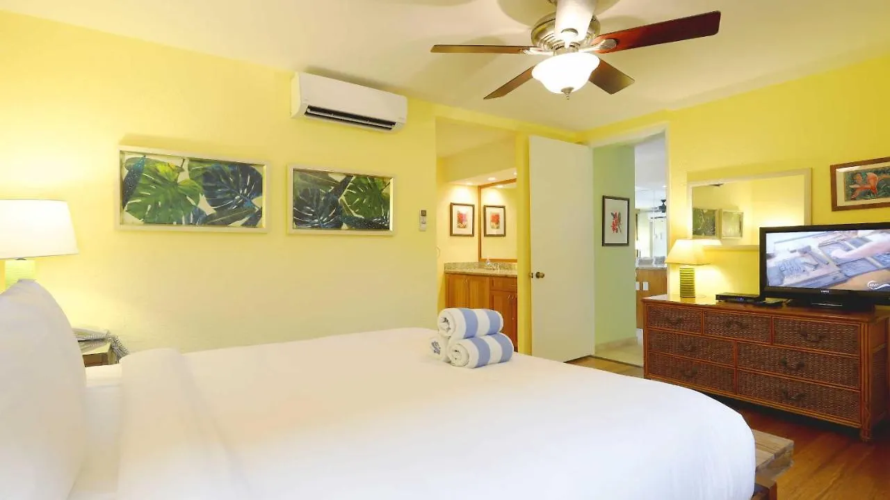 Papakea K303 2Bed/2Bath Stunning Ocean & Pool Views 3*, Lahaina ABD